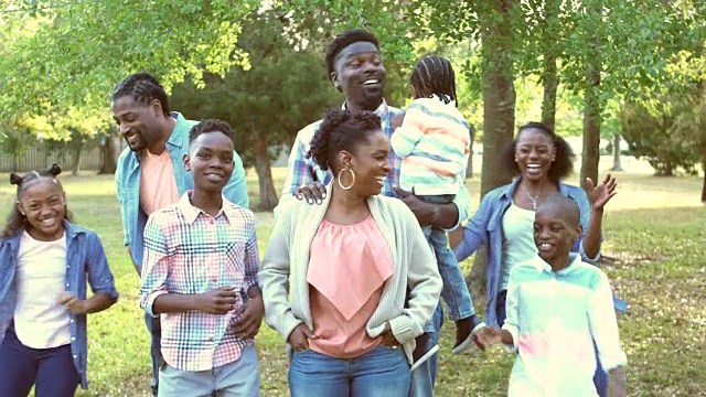 非裔美国人家庭在公园聚会视频素材
