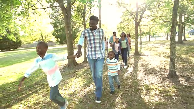 非裔美国人大家庭在公园散步视频素材