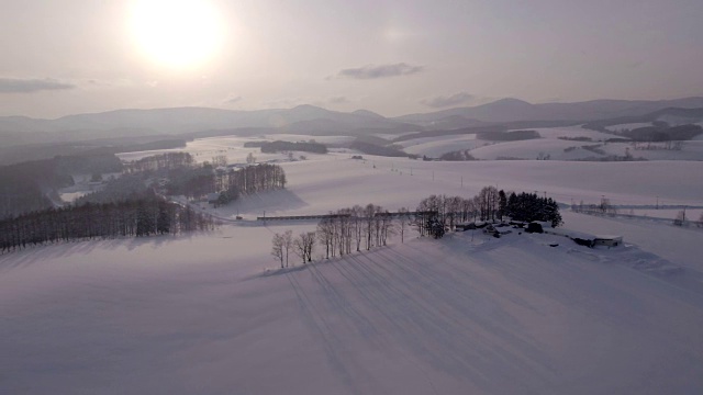 在日本北海道Biei被雪覆盖的温和七山和山脉上的光秃秃的树木视频下载