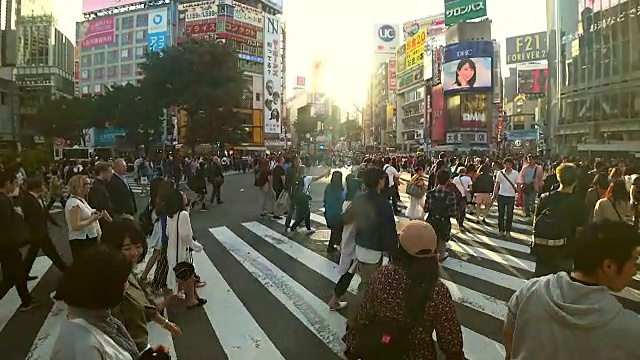 在日本东京，人群走在涉谷十字路口视频素材