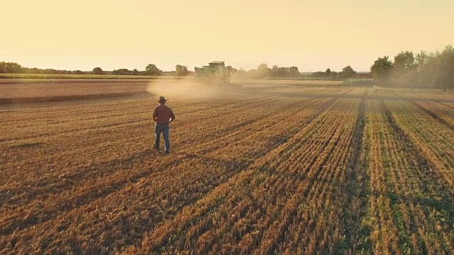无人机视角的农民看着联合收割机收获阳光明媚，田园般的乡村小麦作物，慢镜头视频素材