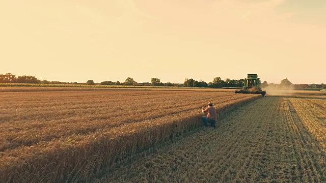 无人机视角的农民看着联合收割机收获阳光明媚，田园般的乡村小麦作物，慢镜头视频下载