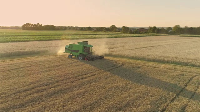 无人机视点联合收割机收获阳光明媚，田园般的乡村小麦作物，慢镜头视频素材