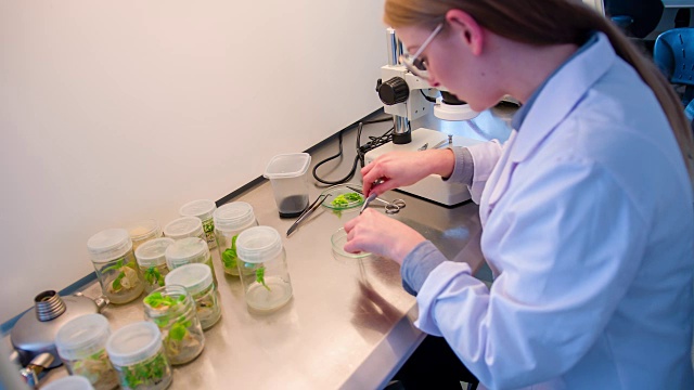 女科学家在实验室检查化学物质视频下载