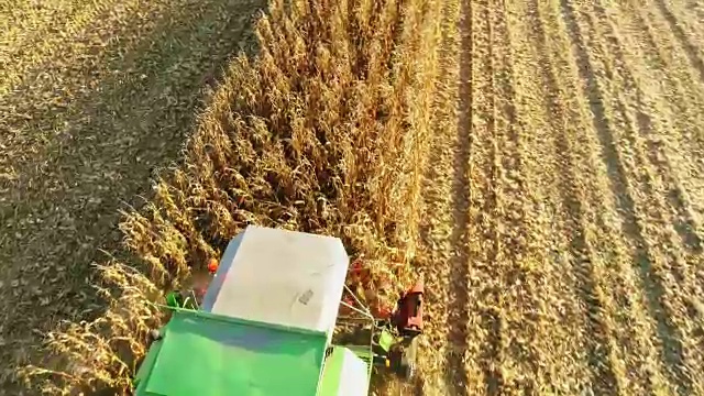 无人机视点联合收割机收获阳光，农村玉米作物，慢镜头视频素材