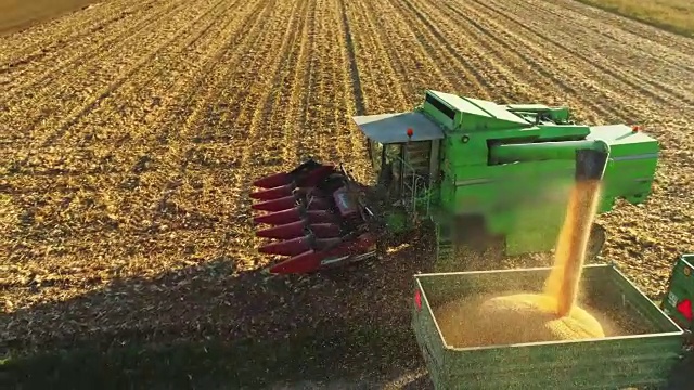 无人机视点联合收割机溜槽填充拖车与收获的玉米在阳光明媚的农村田野，慢镜头视频下载