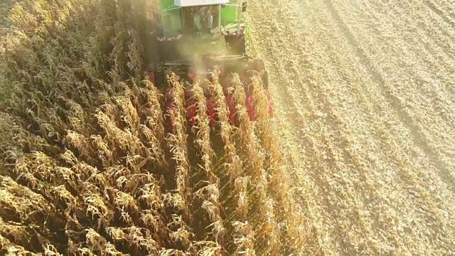 无人机视角的联合收割机在阳光明媚的乡村田野中收获玉米作物，慢镜头视频下载