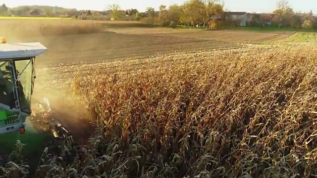 无人机视角的联合收割机在阳光明媚的乡村田野中收获玉米作物，慢镜头视频素材
