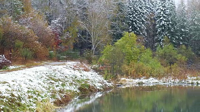 在新西伯利亚的Akademgorodok植物园池塘秋末和初冬季节有树木和雪视频素材