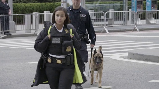 纽约警局的警犬和警察穿过街道视频下载