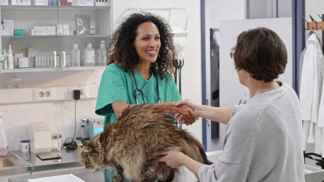 一位女兽医把她的猫带进了诊疗室视频素材
