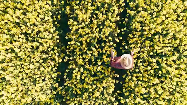 时间扭曲无人机的视角，农民走在阳光灿烂的农村黄色油菜田。视频素材