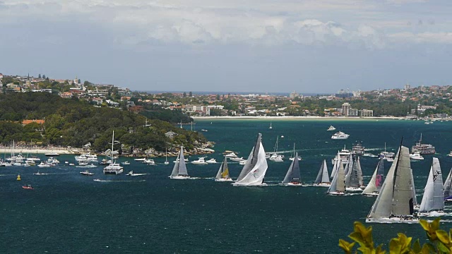 悉尼到霍巴特的游艇比赛视频素材