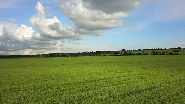 无人机在阳光明媚的日子里拍摄了大片绿色麦田，背景是天空和美丽的云彩视频素材