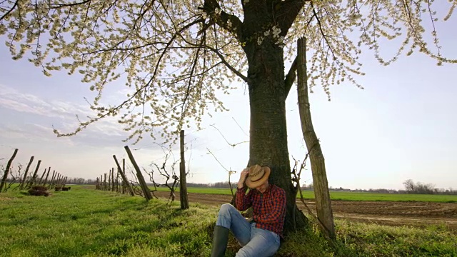 疲惫的农民在阳光明媚，田园诗般的葡萄园下休息，实时视频素材