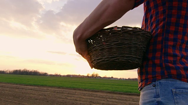 日落时分，农民在农村犁地上播撒种子，动作缓慢视频素材