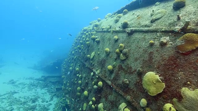 在Curaçao /荷属安的列斯群岛附近潜水时遇难视频下载