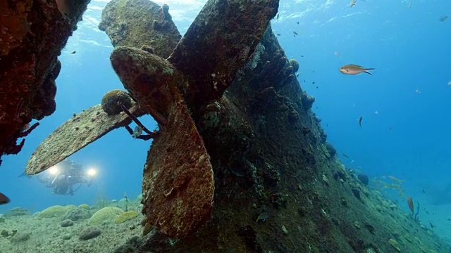 在Curaçao /荷属安的列斯群岛附近潜水时遇难视频下载