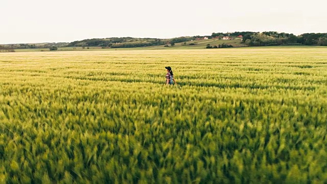无人机的观点，年轻的少女农民走在阳光明媚，田园诗般的农村绿色麦田，实时视频素材