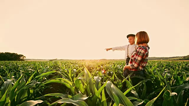 女农民和儿子站在阳光明媚、田园诗般的农村玉米地里，实时拍摄视频素材