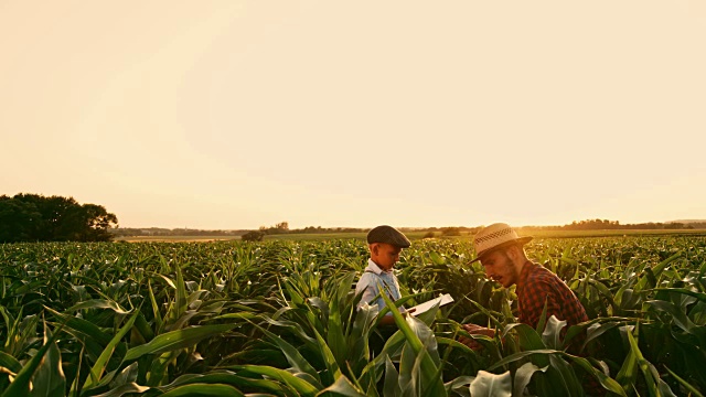 男农民和儿子拿着数字平板电脑在阳光明媚、田园诗般的乡村玉米地里实时交谈视频素材