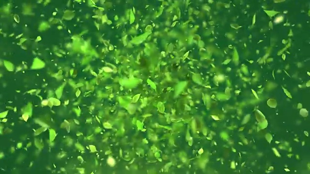 绿色叶子爆炸4K视频素材