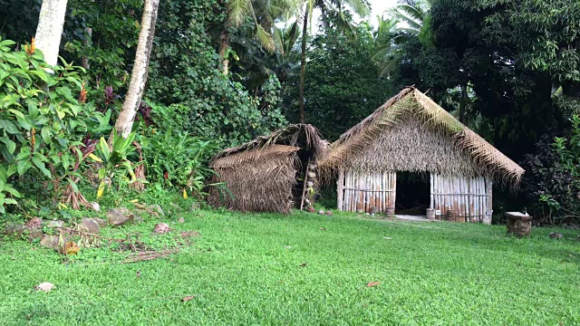 在拉罗汤加库克群岛高地的毛利人村庄里，一对幸福的年轻太平洋岛民手牵着手视频下载
