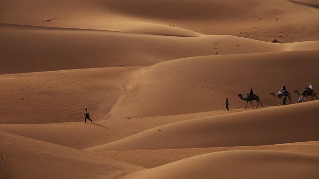 沙丘中的骆驼商队和游客们视频购买