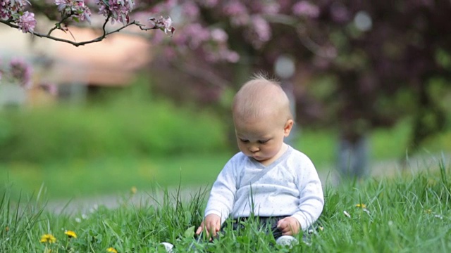 可爱的时尚微笑的蹒跚学步的男孩坐在草地在公园户外。正面微笑英俊的金发男孩穿着蓝色衬衫视频下载