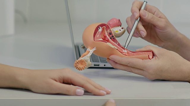 妇科医生使用子宫解剖模型咨询患者视频下载