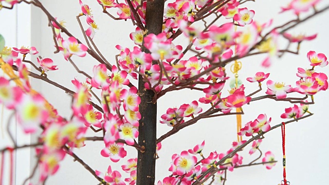 传统的中国新年装饰开花树视频素材