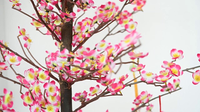 春节装饰花树视频素材