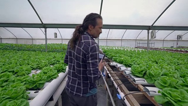 一个在水培农场工作的成熟男人视频素材