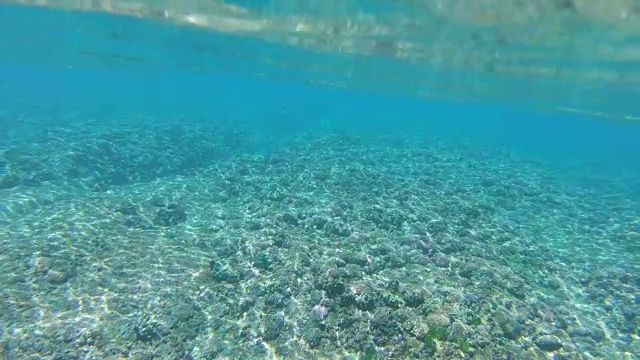 慢动作:明亮的阳光照射在珊瑚海床上的壮观镜头视频素材
