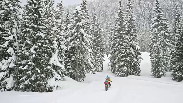 在冬天的森林里，三个骑着胖胖的自行车的人沿着雪道骑行视频下载