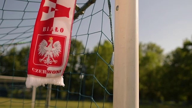 波兰,足球运动,爱好者,进行中视频素材