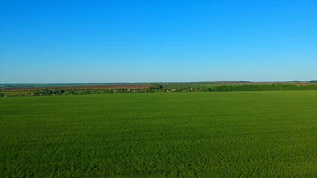 一望无际的绿色稻田，映衬着群山如画的遥远村庄视频素材