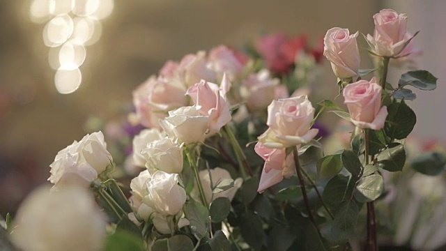 花店里有许多玫瑰视频素材