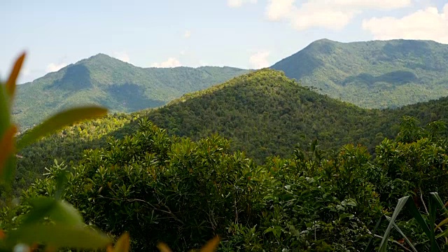 热带雨林景观与火山之上郁郁葱葱的绿色丛林异国情调的岛屿。视频素材