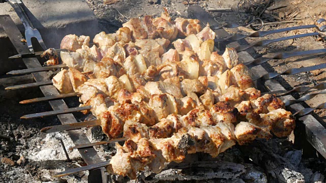 篝火上烤着许多串肉。烤肉串或烤肉本质上是烤的。乡村野餐视频素材
