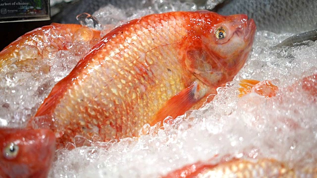 新鲜的红色罗非鱼市场，泰国。视频下载
