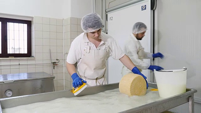 日记奶酪工厂-操作员清洗奶酪形状视频下载