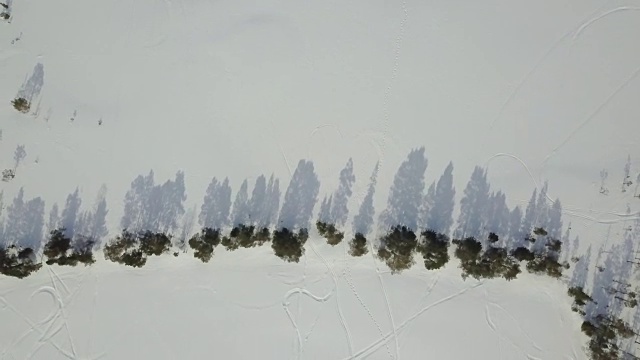 飞越挪威的一排松树。视频素材