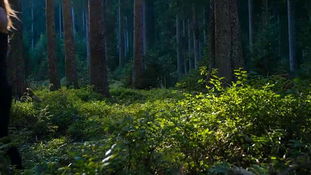 日落时分，年轻的女跑步者在树林里进行运动训练视频素材