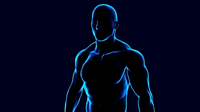 3d动画男性身体解剖旋转在黑色背景视频下载