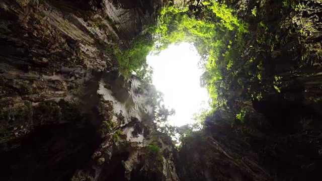 在吉隆坡的洞穴里视频下载