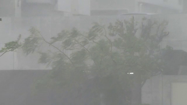台风冲绳岛，日本视频素材
