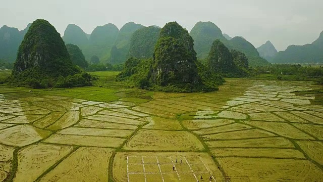 中国桂林喀斯特山脉稻田的航拍视频视频下载