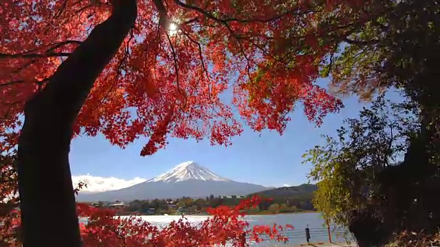 富士山秋色，日本视频购买