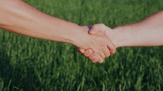 两个农民在一片绿油油的麦田里握手。处理农业综合企业的概念视频下载